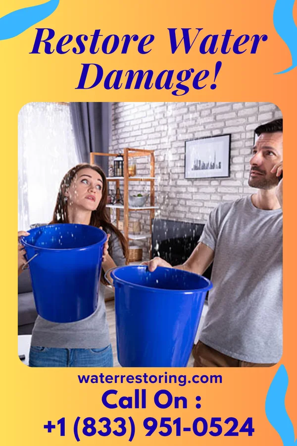 water restoration Ideal Flood Cleanup Partners Dundas