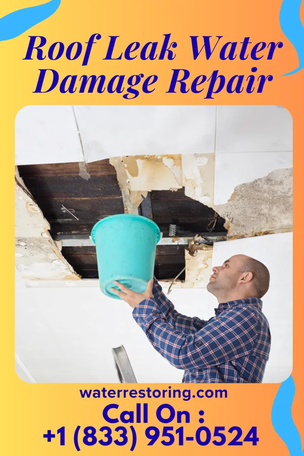 Roof Leak Water Damage Repair in Dundas, MN