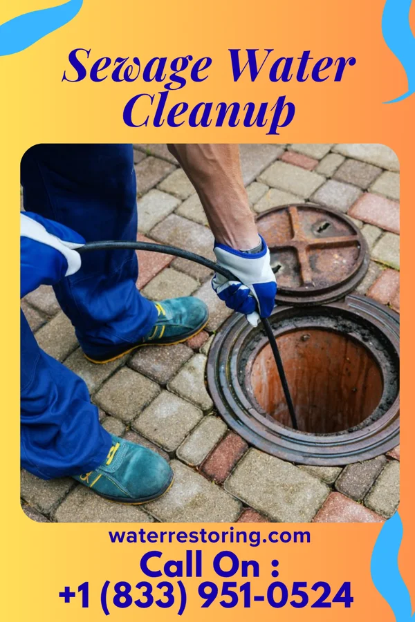 Sewage Water Cleanup in Dundas, MN